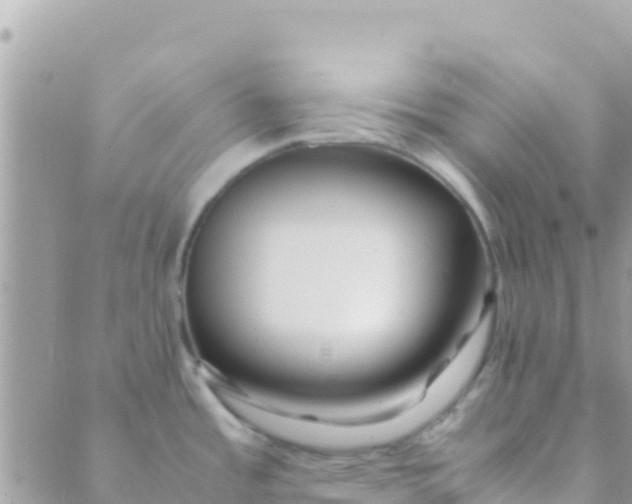 X0000089431485200707061331