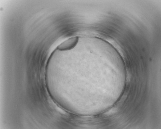 X0000089431486200707061331