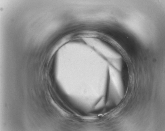 X0000089431487200707061331