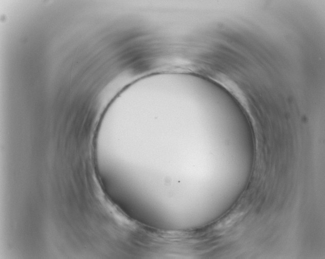 X0000089431488200707061331