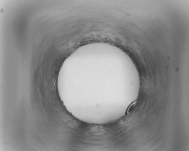 X0000089431489200707061330