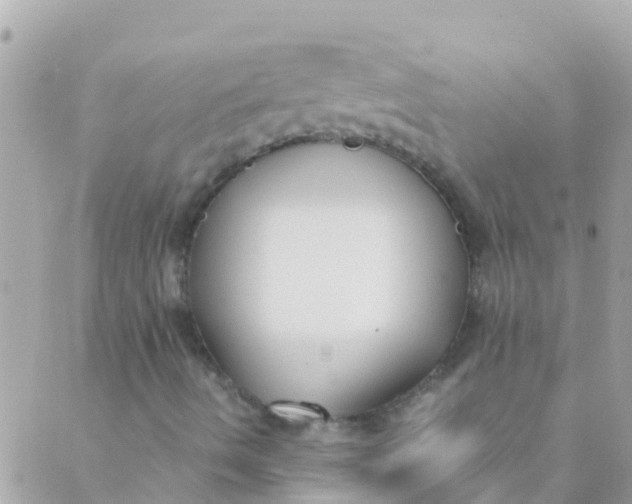 X0000089431490200707061330