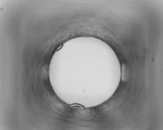 X0000089431491200707061330