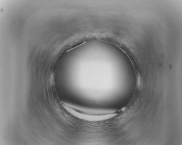 X0000089431492200707061330