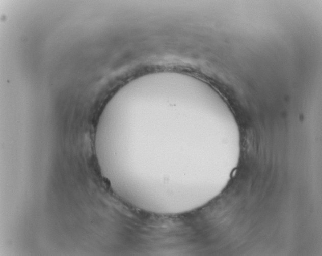 X0000089431493200707061330