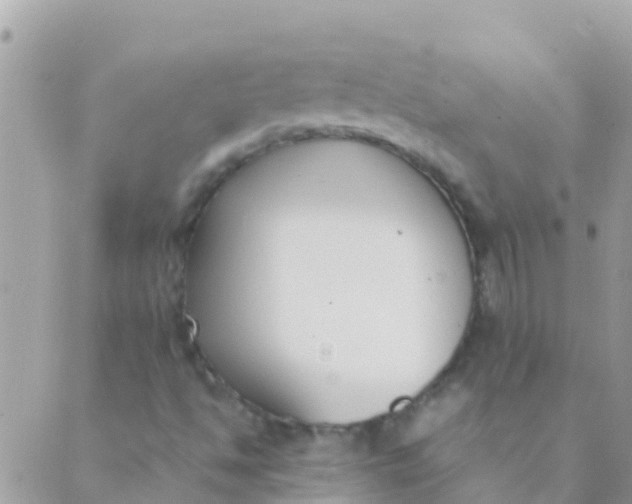 X0000089431494200707061330