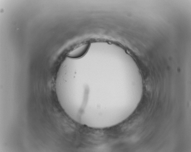 X0000089431495200707061330