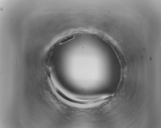 X0000089431496200707061330