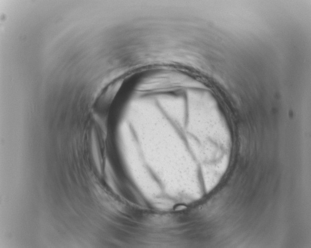 X0000089431497200707061330