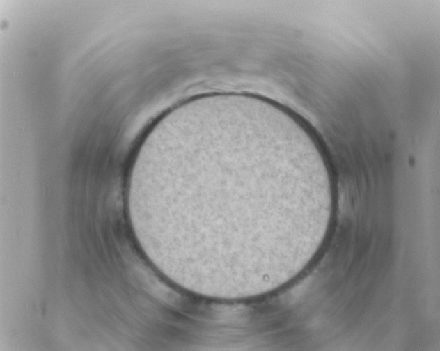 X0000089431498200707061330