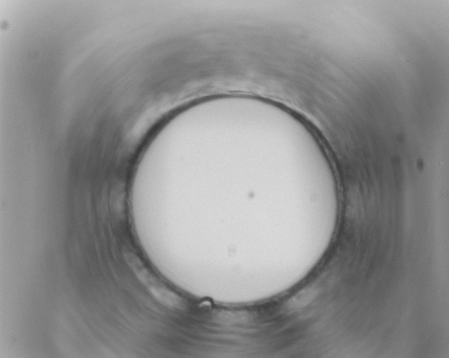 X0000089431499200707061330