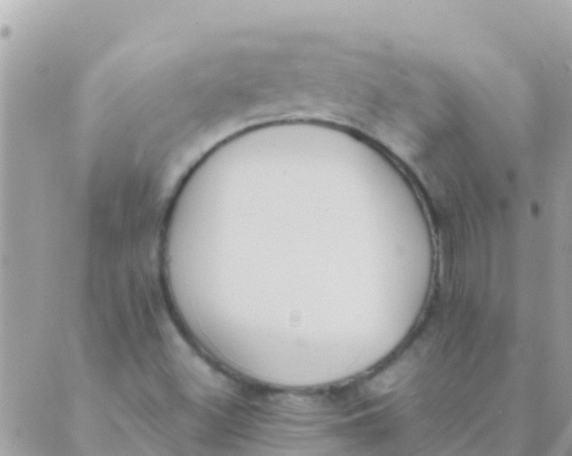 X0000089431500200707061330