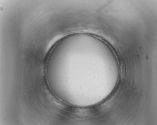 X0000089431501200707061330