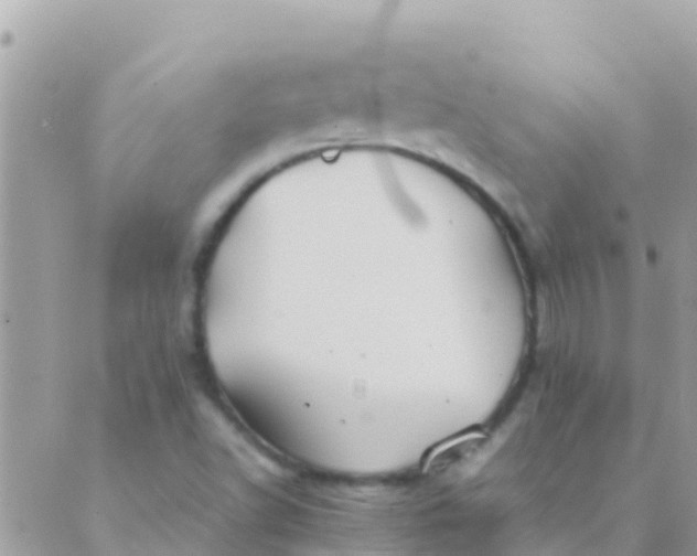 X0000089431502200707061330