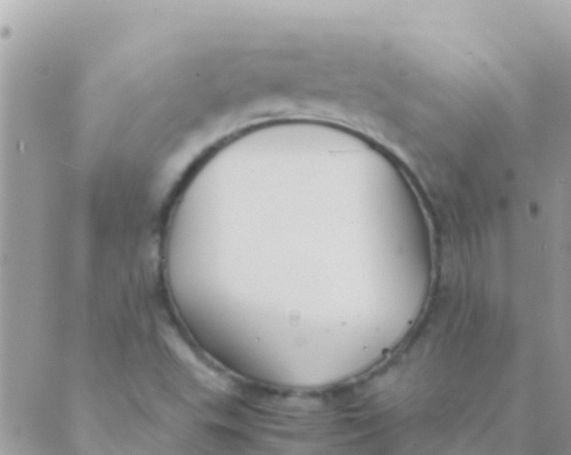 X0000089431503200707061330