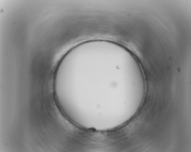 X0000089431504200707061330