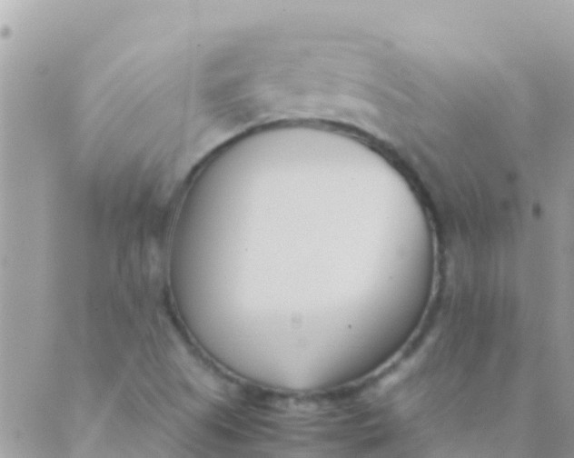 X0000089431505200707061330