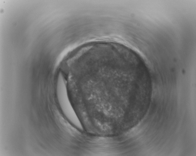 X0000089431506200707061330