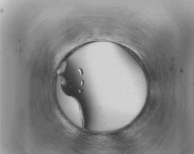 X0000089431507200707061331