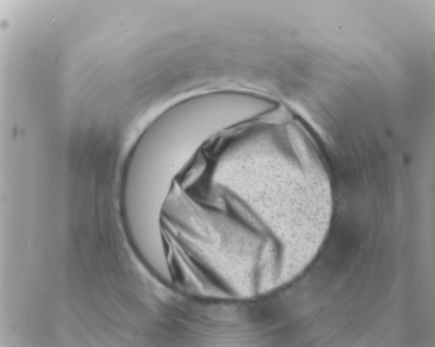 X0000089431508200707061331