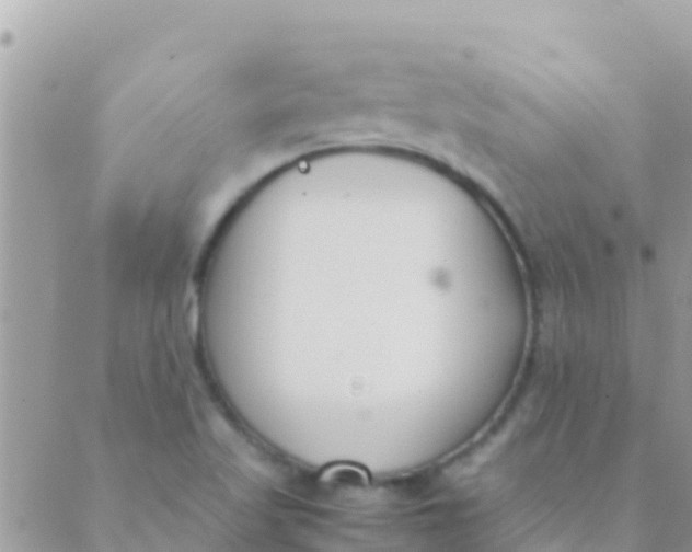 X0000089431509200707061331