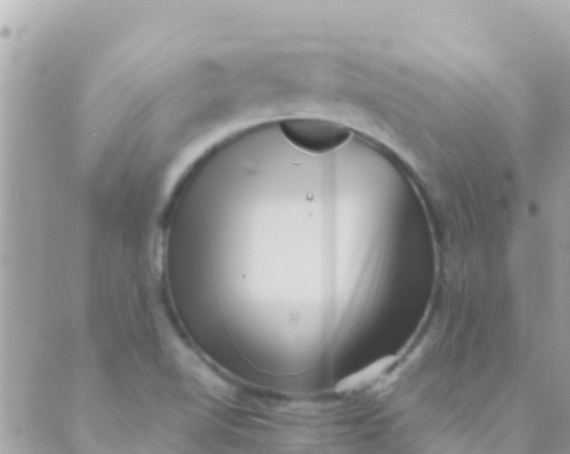 X0000089431510200707061331