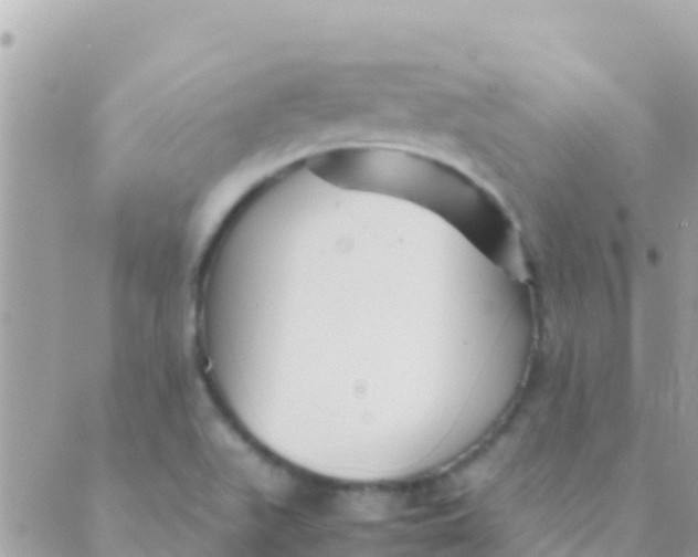 X0000089431511200707061331