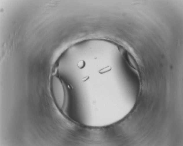 X0000089431512200707061331