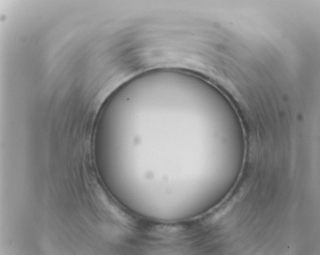 X0000089431513200707061331