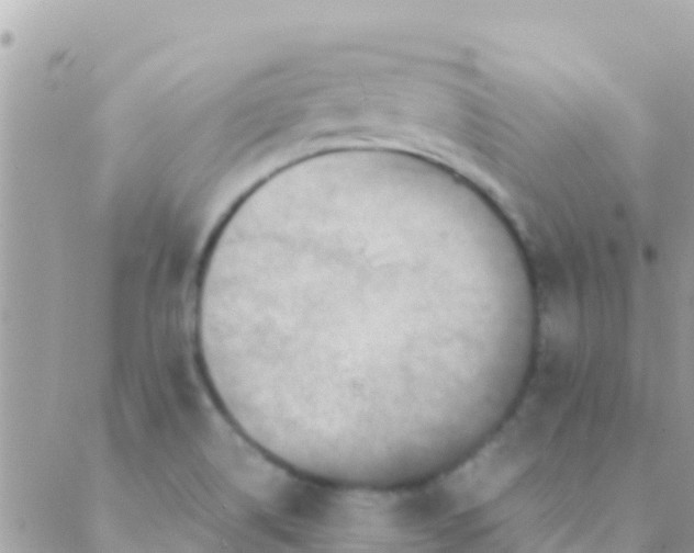 X0000089431514200707061331