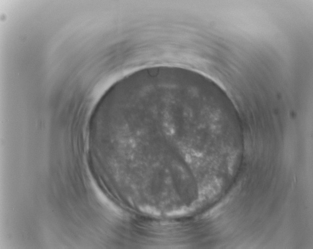 X0000089431515200707061331