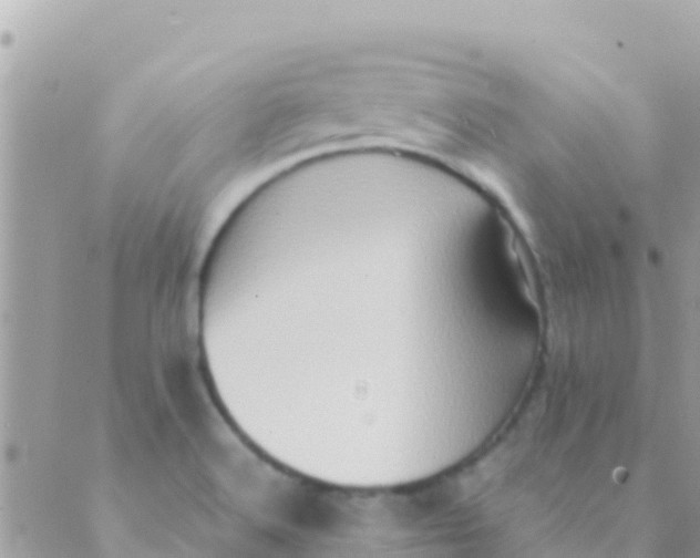 X0000089431516200707061331