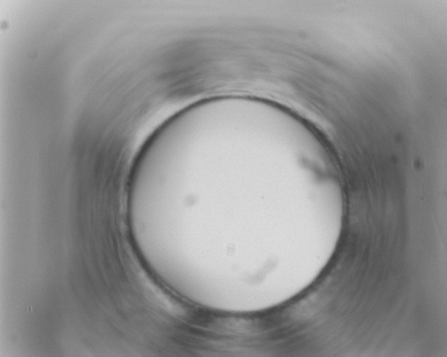 X0000089431517200707061331