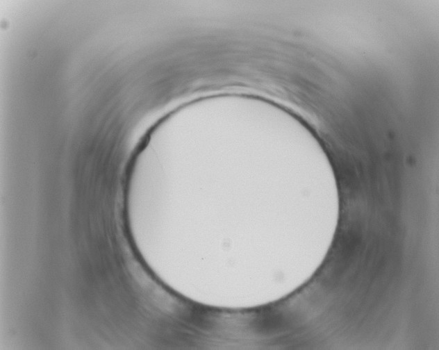 X0000089431518200707061331