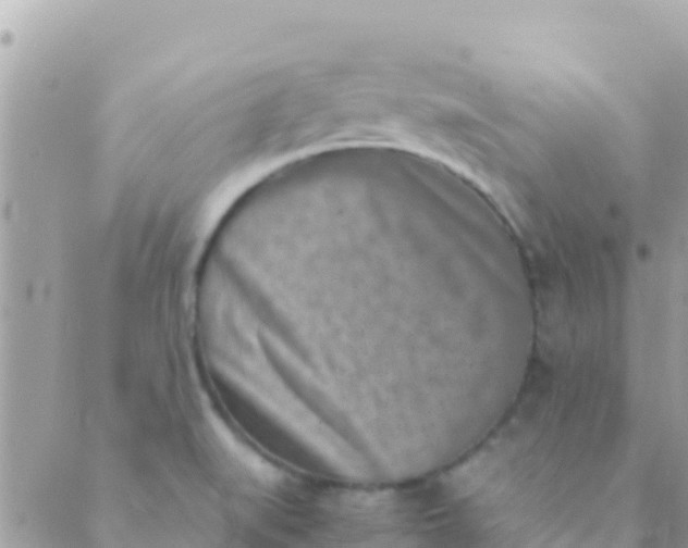 X0000089431519200707061331