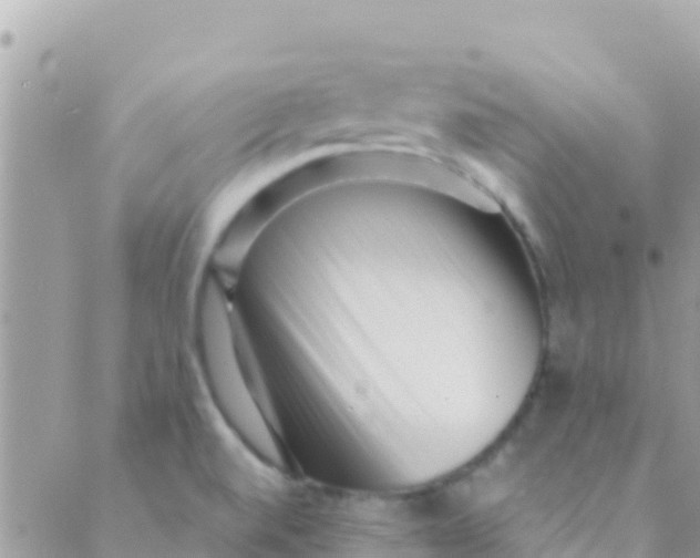 X0000089431520200707061331