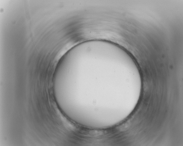 X0000089431521200707061331