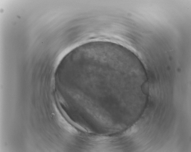 X0000089431522200707061331