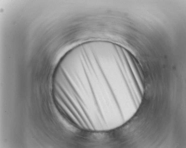 X0000089431523200707061331