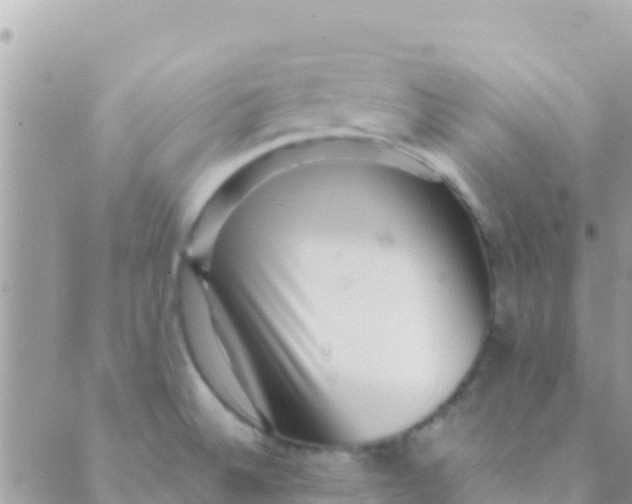 X0000089431524200707061331