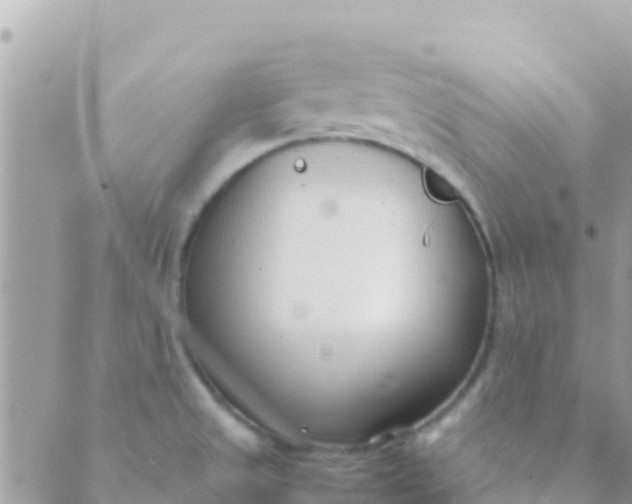 X0000089431525200707061331