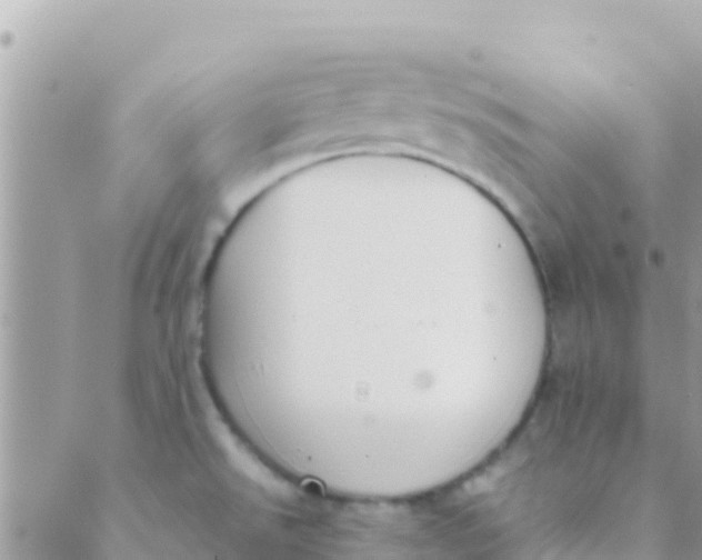 X0000089431526200707061331