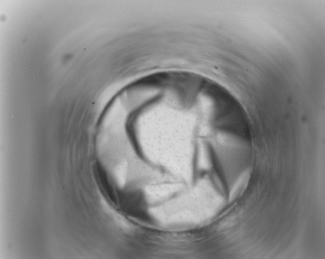 X0000089431527200707061331