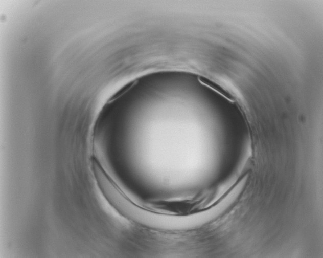 X0000089431528200707061331