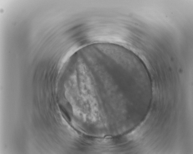 X0000089431529200707061331