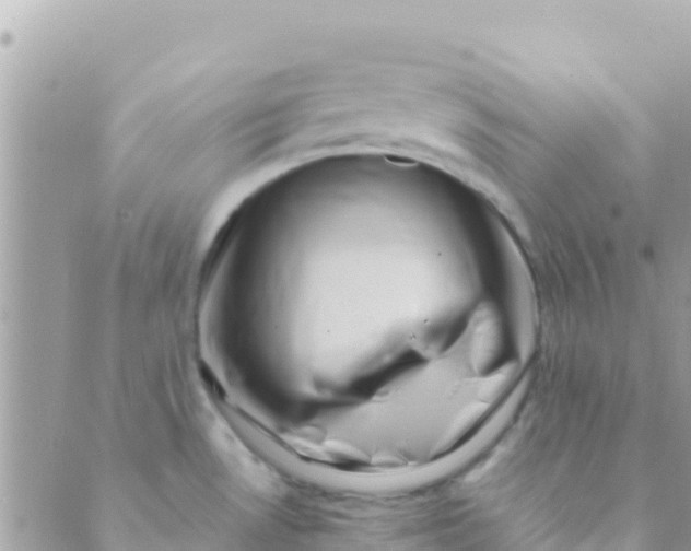 X0000089431530200707061331