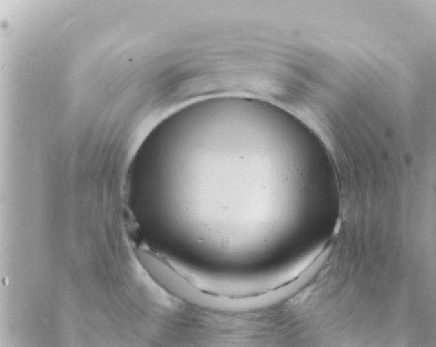 X0000089431532200707061331