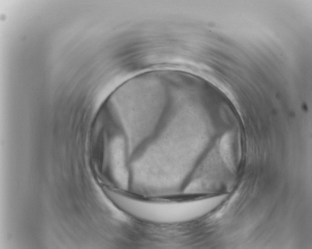 X0000089431533200707061331