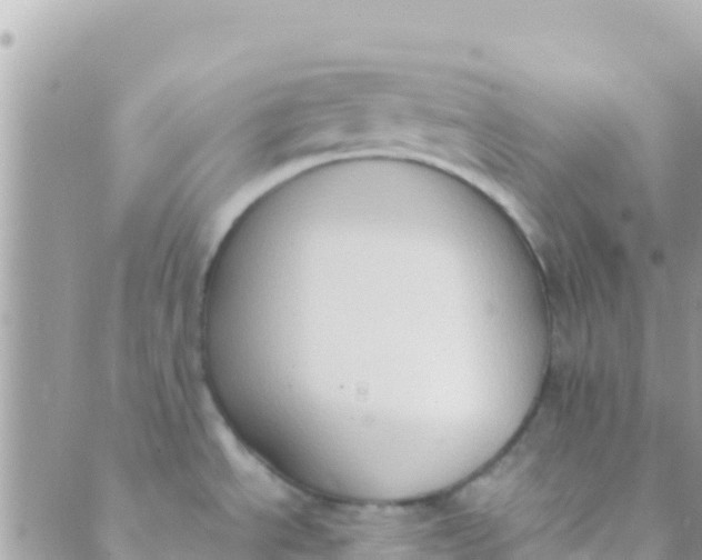 X0000089431534200707061331