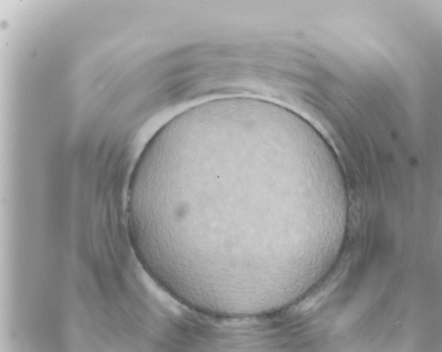 X0000089431535200707061331